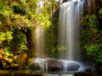 Cascade