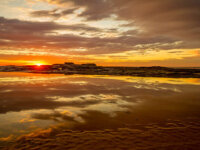 Reflections