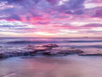Vibrance